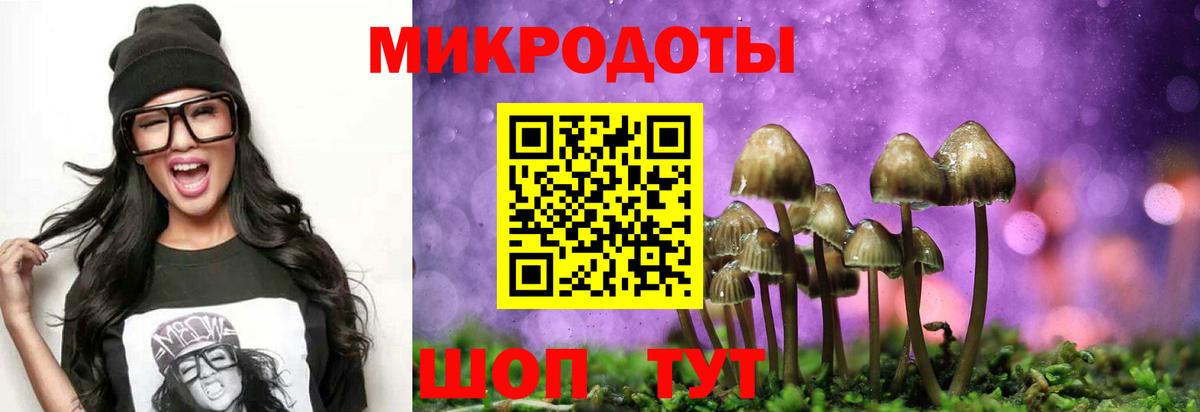Псилоцибиновые грибы GOLDEN TEACHER  Вход с VPN  Заводоуковск 